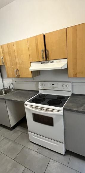 8 1/2 - Montréal (Ville-Marie (Centre-ville)) - 3 495 $/mois - Photo 1