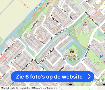 Johan Frisolaan 33 2171 ZA Sassenheim - Foto 1