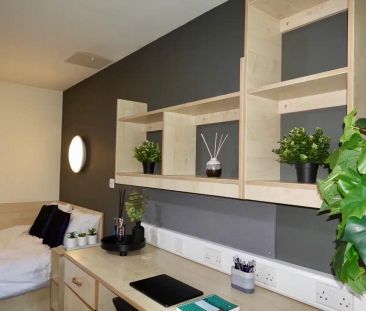 Premium Studio - Photo 6