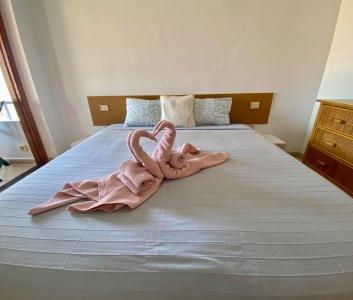 Apartment with large terrace in good location - Photo 2