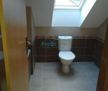 Pronájem bytu 1+kk 53 m2 - Fotografie 4