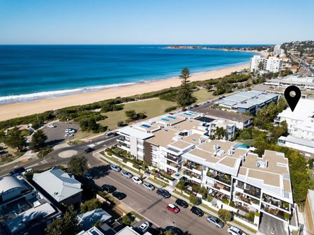 13/1264 Pittwater Road, Narrabeen NSW 2101 - Apartment For Rent | Domain - Photo 2