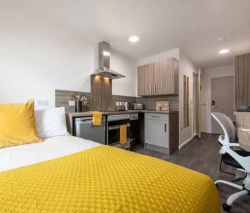 Studio Bronze - Photo 6