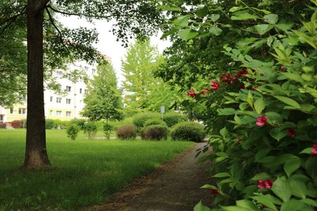 Helle 3-Zimmer-Wohnung mit Balkon - Foto 2