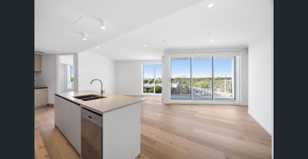 Find home: where light-filled living meets inner-west convenience - Photo 5