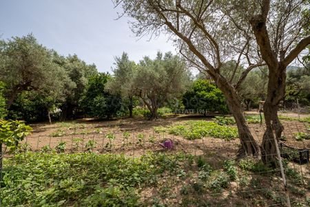 Διαμέρισμα για ενοικίαση Ψαθόπυργος (Ρίο) - Photo 4