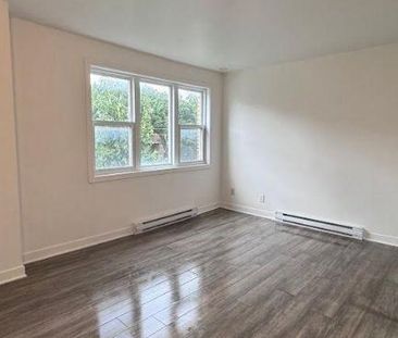 1 CH - 1 SDB - Montréal - $1,099 /mo - Photo 3
