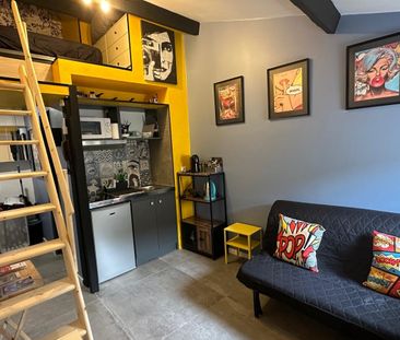 Location Appartement 1 pièce 12m² VILLENEUVE LES AVIGNON 30400 - Photo 3