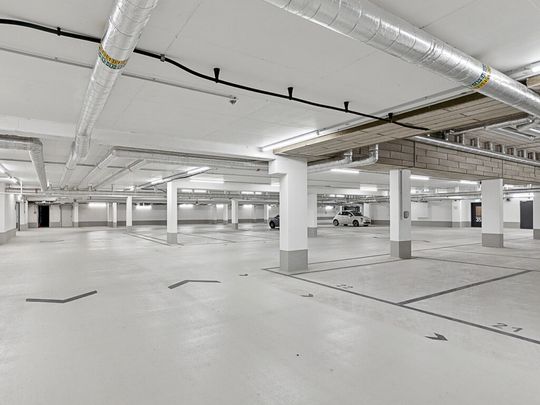 Neubau! 4-Zimmer-Wohnung mit Balkon und zwei Bädern (mietpreisgedämpft) - Photo 1