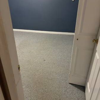 1 bedroom ground level basement available in Aldergrove - Photo 3