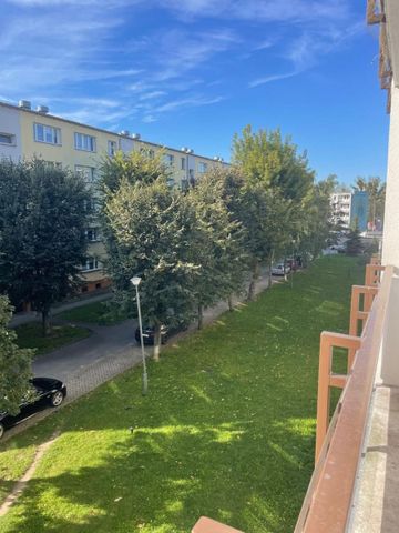 Świeżo po remoncie,3 pokoje,loggia, top lokalizacj 50 m² - Photo 4