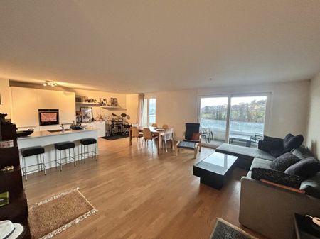 Nice volume for this 3.5 room apartment with a view of the lake and the mountains! - Foto 4
