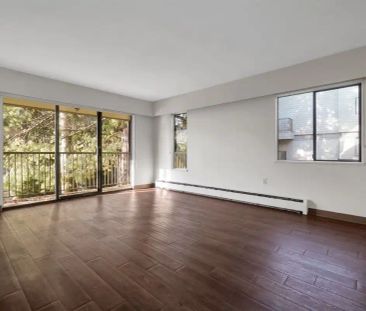 Princeton Place Apartments — 1 Bedroom available at 1021 Howay Stre... - Photo 1