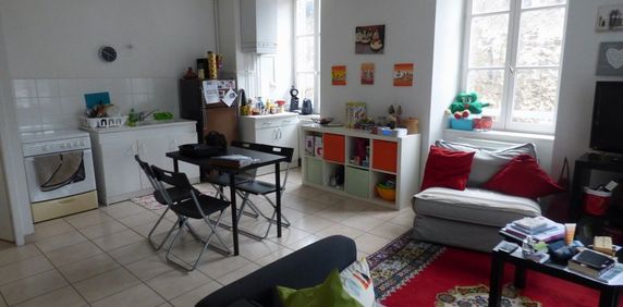 Location Appartement 2 pièces 49m² ANNONAY 07100 - Photo 2