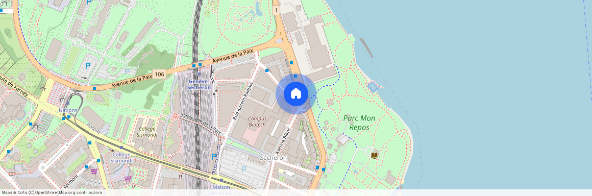 Rue de Lausanne 137, 1202 Genève