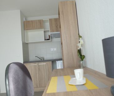 Location Appartement 1 pièce 20m² ISLE 87170 - Photo 2