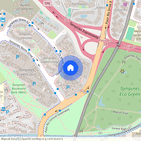 Blk 639B Tampines Street 62 S(522639)