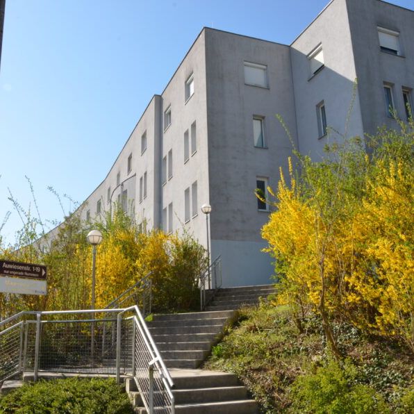 3-Zimmer Wohnung mit Loggia und Tiefgaragenabstellplatz im 1. Stock ohne Lift - Photo 2