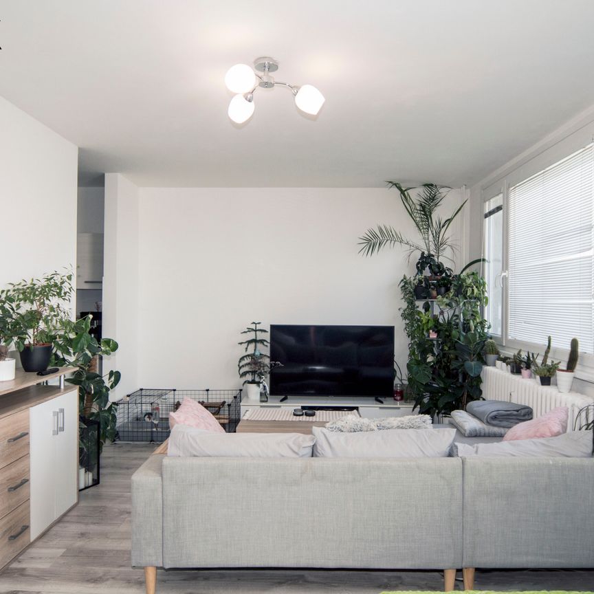 Pronájem bytu 1+kk v osobním vlastnictví 34 m², Chotětov - Photo 1