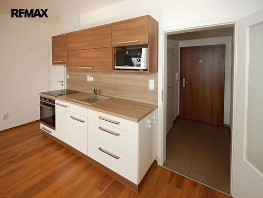 Pronájem bytu 1+kk v osobním vlastnictví 33 m², Velký Osek - Photo 1