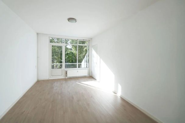 Appartement Segbroeklaan, La Haye - À louer - Foto 1