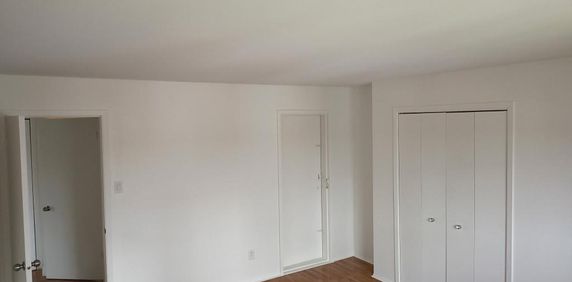 Logement a louer - Photo 2