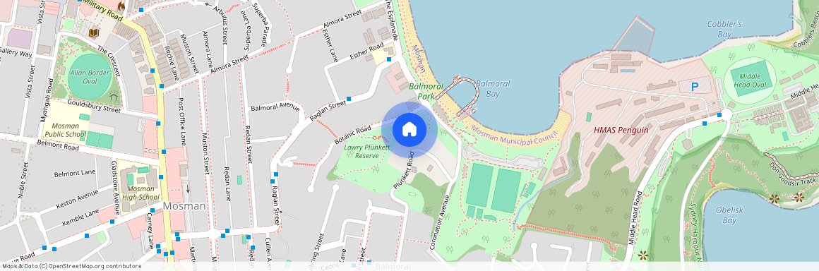 24 PLUNKETT ROAD, NSW 2088, Mosman