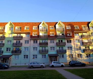 Pronájem bytu 1+1 - 34 m2 Kuřivody - Photo 5