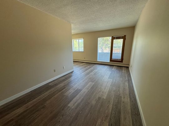 SPACIOUS 2 Bedroom APARTMENT!! GREAT LOCATION Downtown!!! - Photo 1