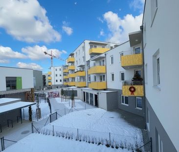 ERSTBEZUG „ein viertel grün“ in Wiener Neustadt - zentral gelegene ... - Foto 5