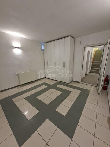 Elegant Representative Villa For Representative Headquarters or Mixed Use, Downtown, Plantelor - Photo 4