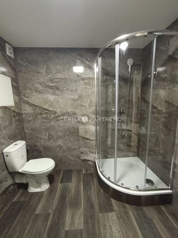 Pronájem bytu 3+1 53 m² - Fotografie 3