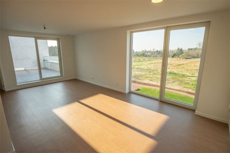 Energiezuinig appartement met een zeer ruim terras! - Photo 3