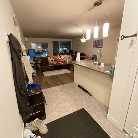 2 CH - 1 SDB - Lévis - $1,250 /mo - Photo 4