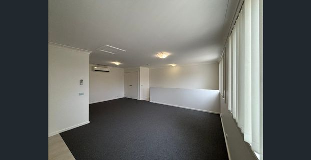 Water Included! Freshly renovated, bright, Free-standing Studio with a leafy outlook + Terrace! (Entry is from Cadman Ave) - Photo 1