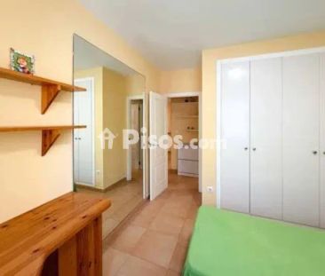 Piso en alquiler en Carrer Palometa - Photo 4