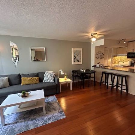 Bachelor Fully Furnished -pet friendly - Photo 3