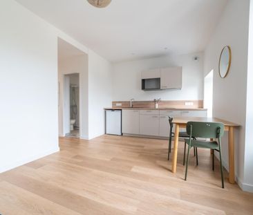 Location Appartement 1 pièce Meublé 23m² NANTES 44000 - Photo 4