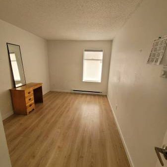 Renovated 1 Bed 1 Bath Pet Friendly - Photo 1