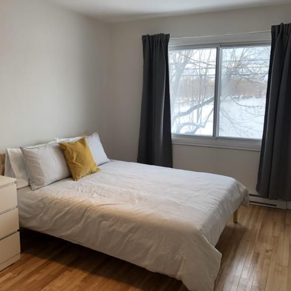 5 1/2 - Montréal (Rosemont) - 1 800 $/mois - Photo 1