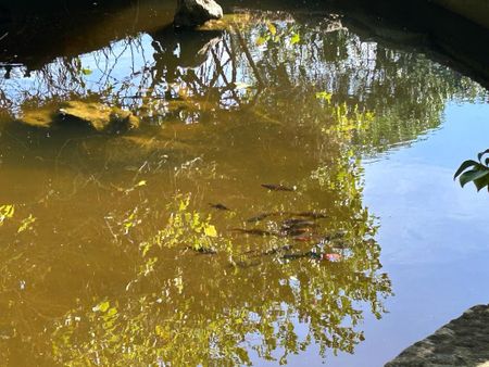 Moradia T5 remodelada para arrendamento sem móveis com piscina, jardim e vista mar, no Estoril - Photo 2