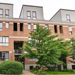 Appartement · 127 m² · Plateau-Mont-Royal - Photo 3