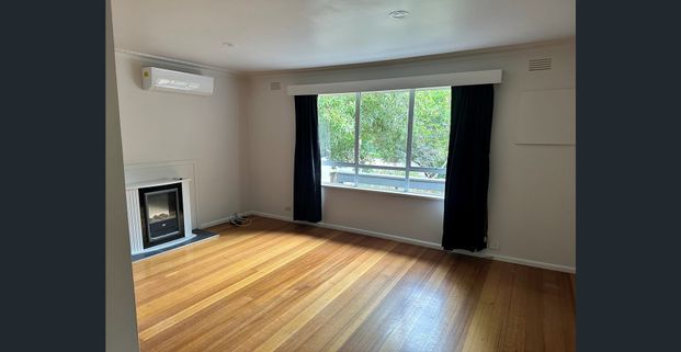 HIDDEN GEM - Photo 1