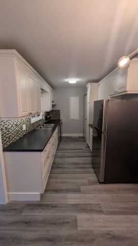 For Lease - 66 Traynor Avenue Unit# Main Floor, Kitchener, Ontario - Photo 5