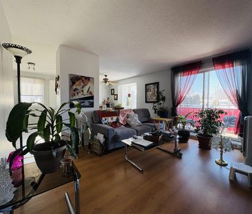 Blain Appartement 4 ½ à Louer Neufchâtel / Lebourgneuf Juillet 2026 - Photo 2