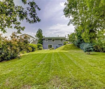 For Lease - 40 Ewing Street, Halton Hills, Ontario - Photo 2