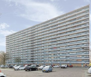 Apartment Rotterdam - Hemingwayplaats - Photo 1