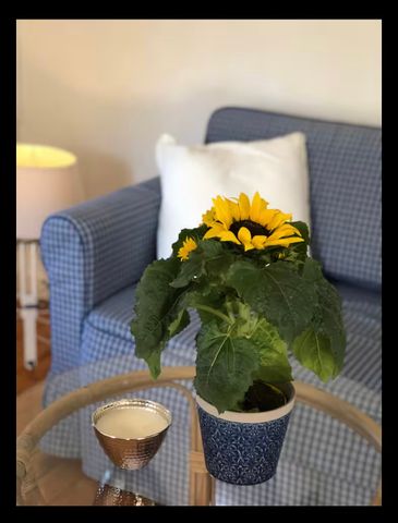 Slingervägen, Vendelsö - Foto 5