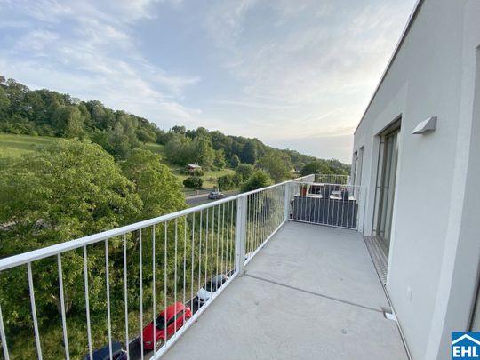 Wohnen im Tullnerfeld: Moderne Mietwohnungen mit exzellenter Infrastruktur - Foto 1