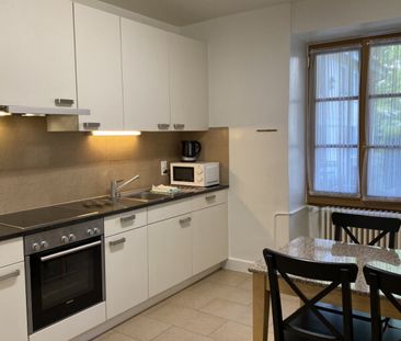 Bel appartement meublé de 4 pièces à Carouge (Genève) - Photo 1